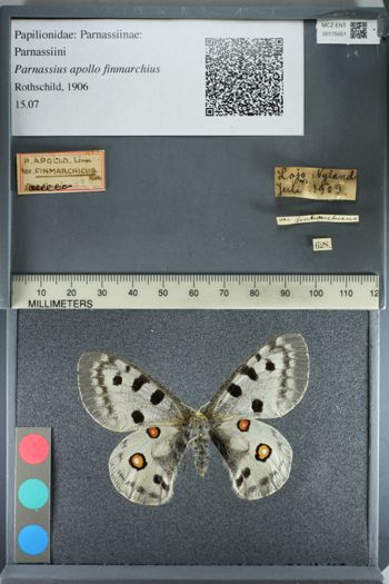 Media type: image;   Entomology 175051